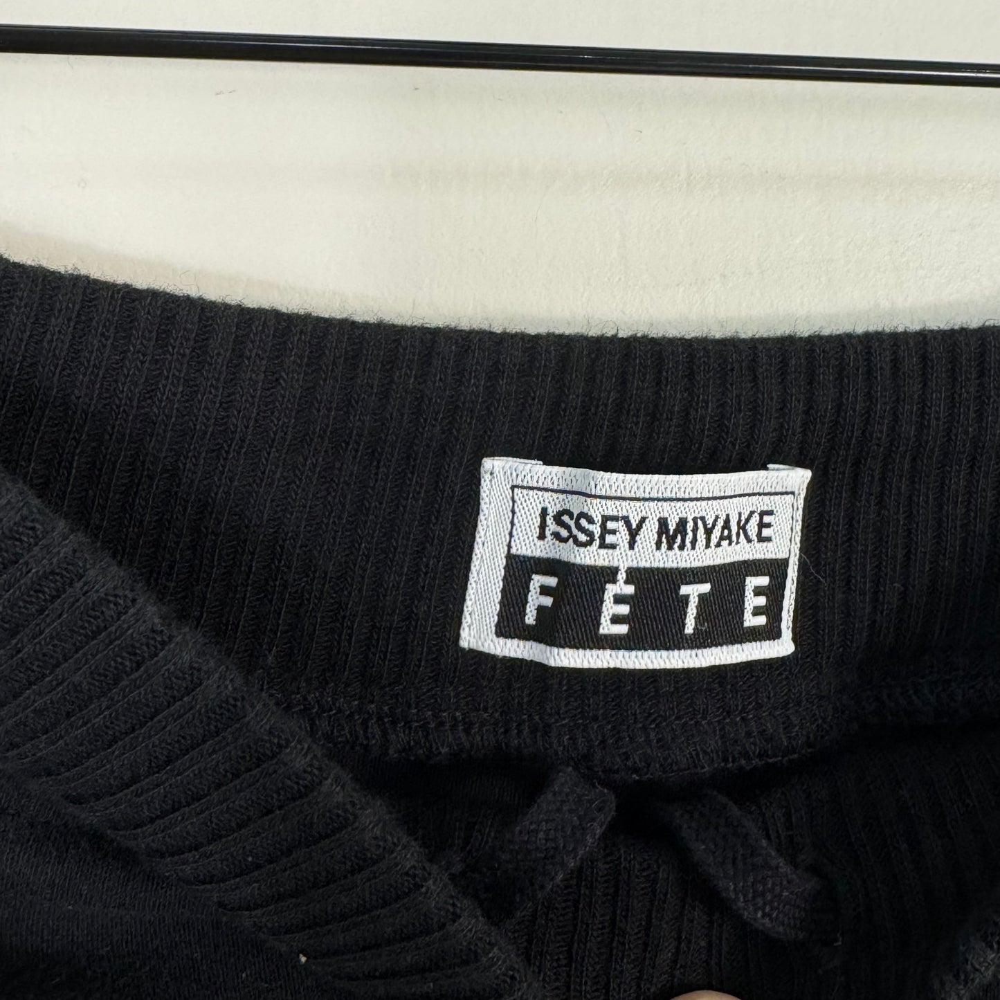 Issey Miyake Fete Pleated Skirt