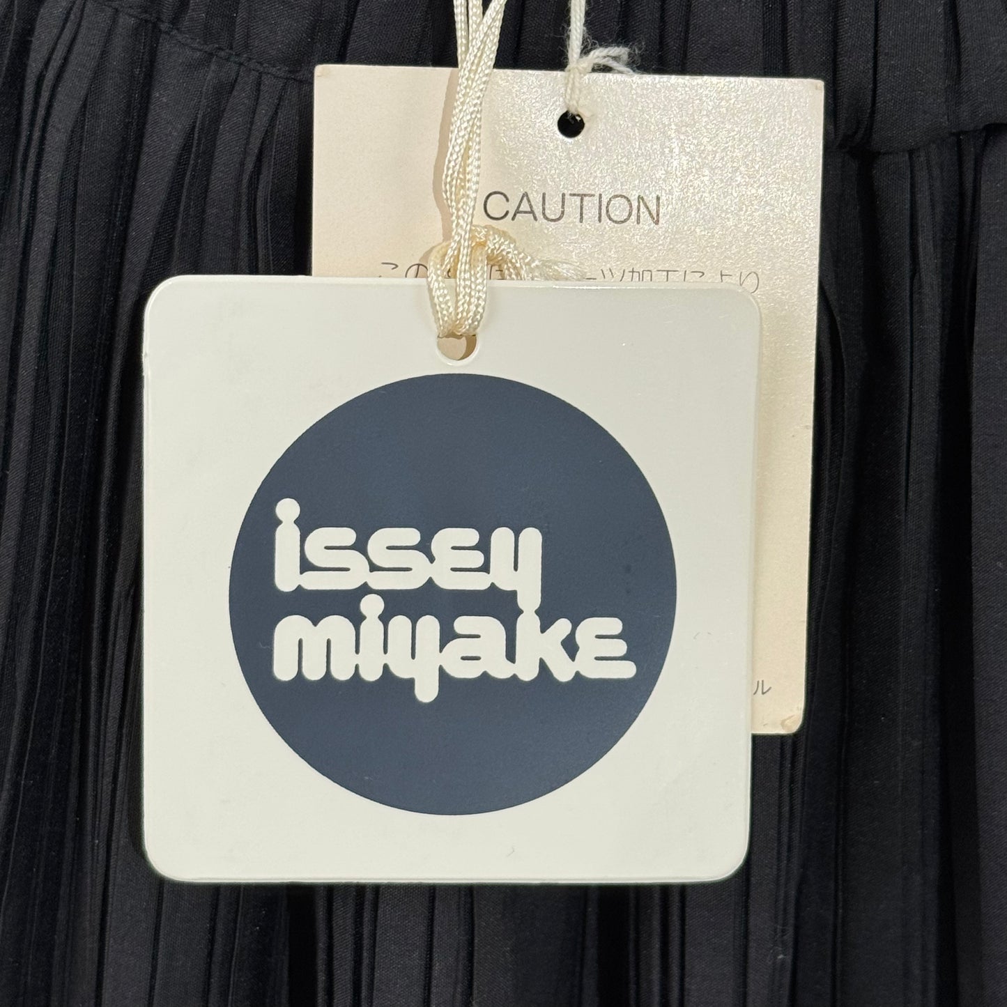 Issey Miyake Pleated Long Skirt